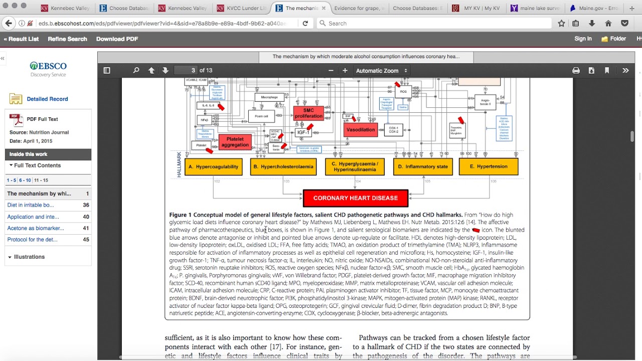 Week #3: Using Library Databases - YouTube
