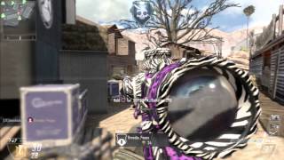quad feed studio