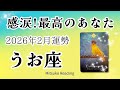 魚座2月は感動の涙！安心してください。あなたは大丈夫！2026年2月運勢【癒しのタロット個人鑑定級】