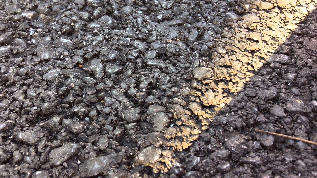 Shopkins Season 1 Sweet Treats With Special Guest....Amy!