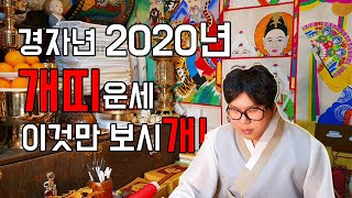 [2020운세] 개띠운세 이것만 보시개! [신년운세]