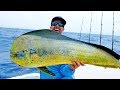 Monster Dolphin in the Florida Keys, Catch N Cook - 4K