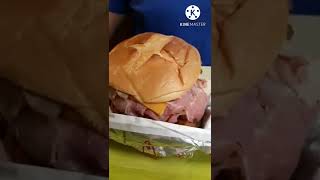 Meat Mountain From Arbys