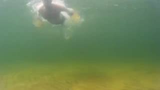 dive with the turn