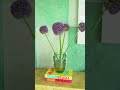 Flower Arranging Ideas for a Cozy Home | Travis London