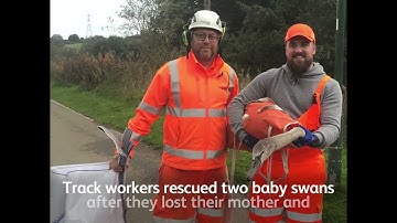 Week on the Network - 24/10/21