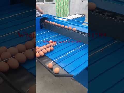 Egg Weight Grader