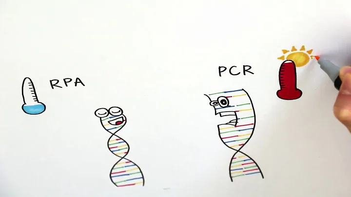 iGEM NYU Abu Dhabi 2018: RPA