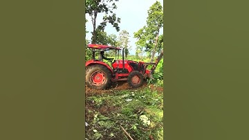 Tractors push trees in the forest #shorts #tracting #tractor