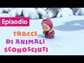 Masha e Orso - Tracce Di Animali Sconosciuti (Episodio 4) - Cartoni animati per bambini