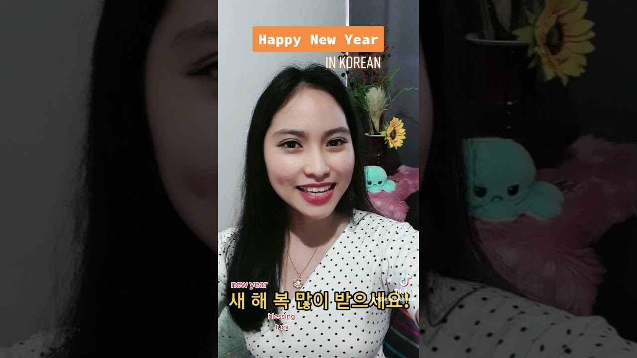 Happy New Year in Korean. 