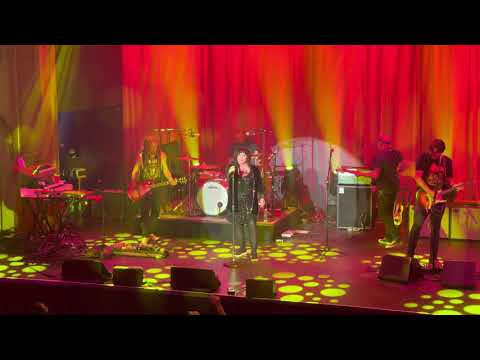Ann Wilson -