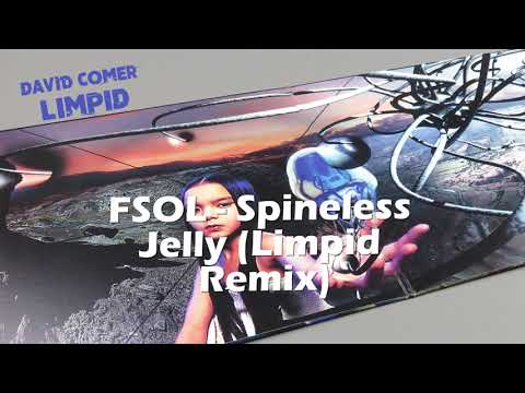 The Future Sound of London - Spineless Jelly (Limpid Remix)