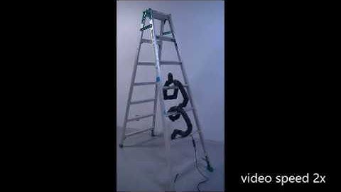 Ladder Climbing with a Snake Robot