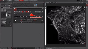 How to separate spectrally overlapping fluorophores using TauSeparation