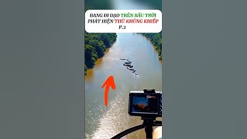 [P.2] Phát hiện rắn khủng lồ từ trên máy bay #shorts