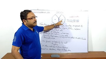 Plant Cell Wall Structure and Function | Biology | Class 8 | CBSE | Science Reckoner