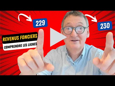 Ref:t5VM-LKJsCg Déclaration des revenus fonciers, lignes 229 et 230