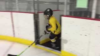 Raven Hockey  8 Year Old Hockey Dangler