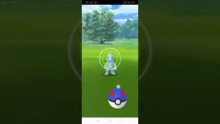 Best Pokémon to get that 3 in a row excellent throw. Information