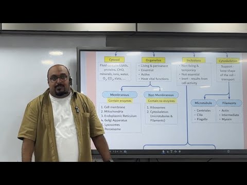 المحاضرة الأولى الإعادة ١٠١ هستولوجي القصر العيني د زهرة
