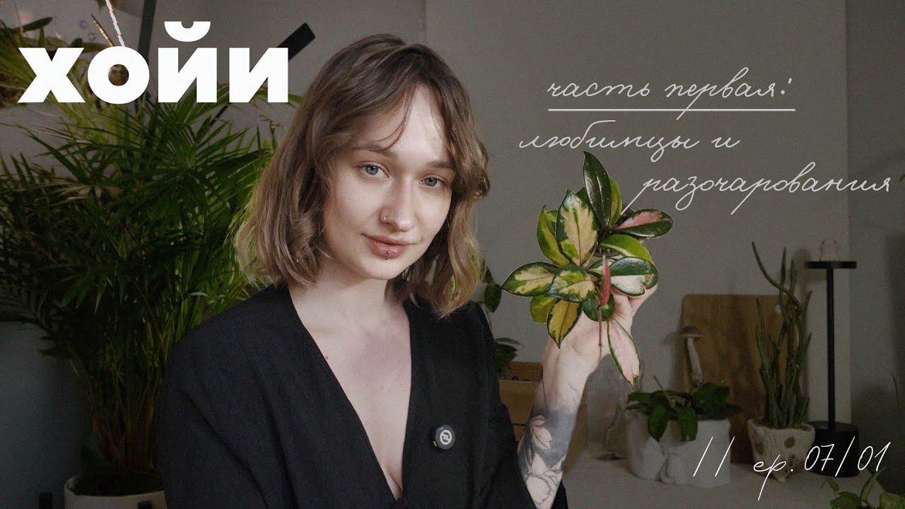 ХОЙИ без прикрас: ЛЮБОВЬ не С ПЕРВОГО ЛИСТА 🍂 // ep. 07