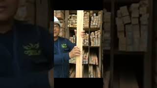 Maderera Cifenix Srll