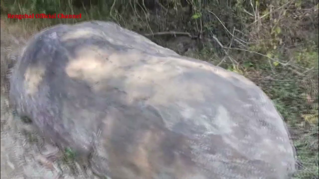 Lungphunlian khaw dai fan na - Part 1