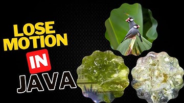 Java finch ko motion ab nahi ho gay #javabreeding #javabreeding