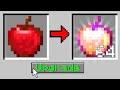 Minecraft But You Can Upgrade Any Item