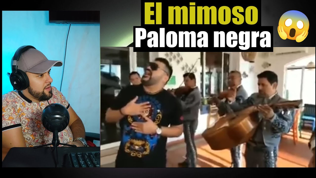 REACCIONO AL MIMOSO - PALOMA NEGRA🔴 | Reacción/Análisis🎤