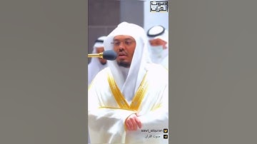 ( لَا تَقْنَطُوا مِن رَّحْمَةِ اللَّهِ ) ماتيسر من سورة #الزمر للشيخ #ياسر_الدوسري