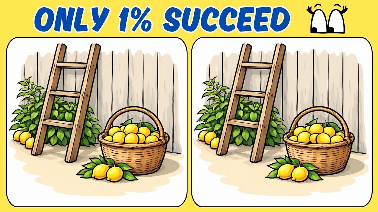 🧠🧩Spot the Differences : Only 1% Solve This!🧠🧩Brain Bang Bang