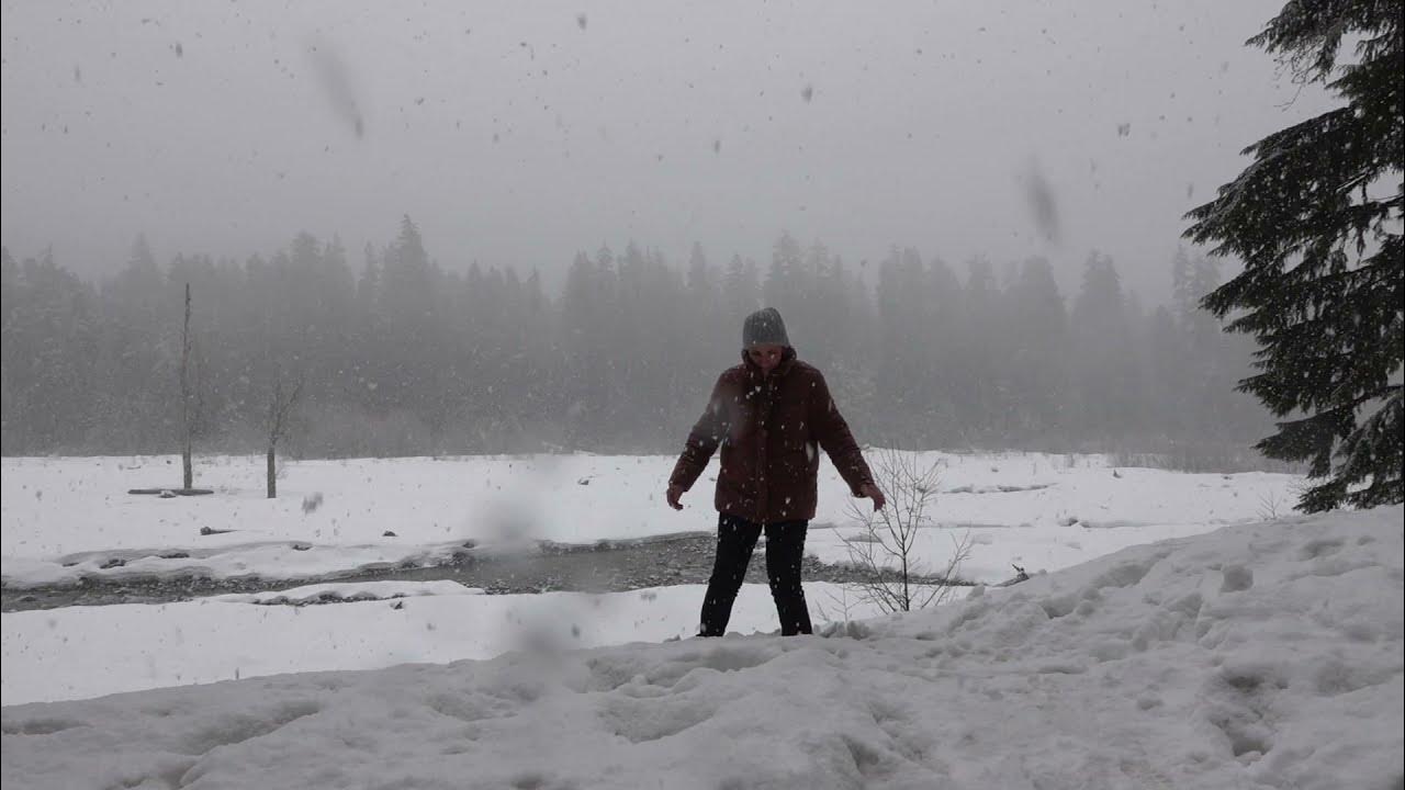 Mount Rainier, Washington Spring Break March 28, 2021 YouTube