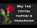 Мы так скупы порою в покаянии | Вероника Данюк | А жизнь, как роза: то цветет, то колется | Слова