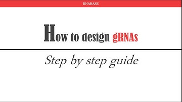 How to Design gRNAs – Step-by-Step CRISPR Guide |  RNABASE