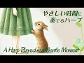 やさしい時間に奏でるハープの音色 心の浄化 心が落ち着くbgm 癒しの波動 自律神経が整う