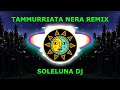 Tammurriata nera remix by soleluna dj producer