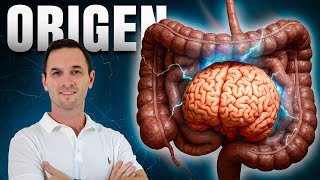 El PARKINSON Inicia en el INTESTINO: Síntomas y MEJORES Tratamientos