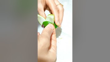 Mẹo cắt trái cây thành con vật ngộ nghĩnh cực đáng yêu.