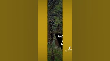 NIPAH VIRUS BASIC FACTS