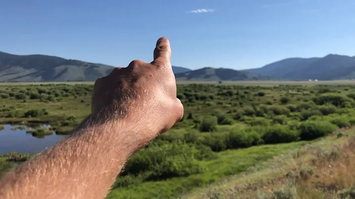 (3 min) Distance Looking Eye Exercise To Improve Your Eyesight