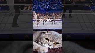 Download Lagu boxer 😮😮🥺 MP3