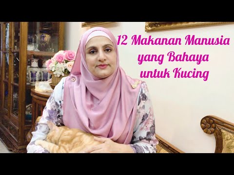 Video: 6 Nutrien Dalam Makanan Haiwan Peliharaan Yang Boleh Membahayakan Kucing Anda