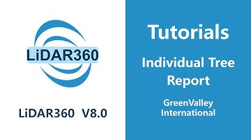 LiDAR360 V8 - Forestry |  Individual Tree Report LiDAR Software Tutorial