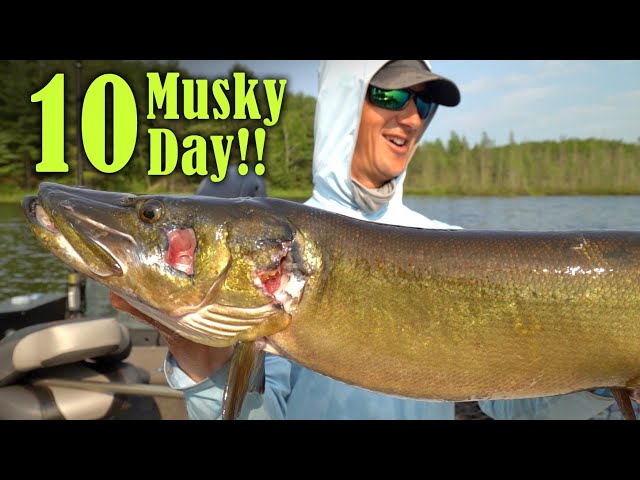 INTENSE June Musky Fishing - 10 Fish Day!! 