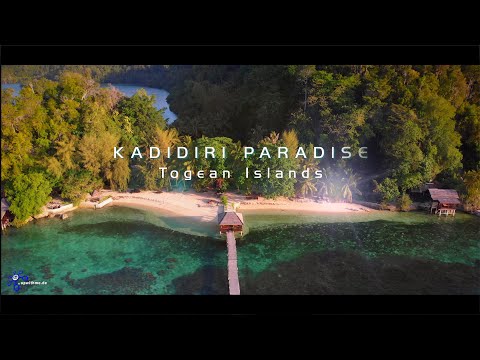 Video: Kadidiri Der Togian Islands, Indonesien - Matador Network