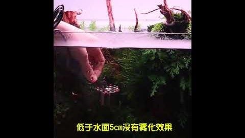 MÁY PHUN SƯƠNG TẠO KHÓI SOBO