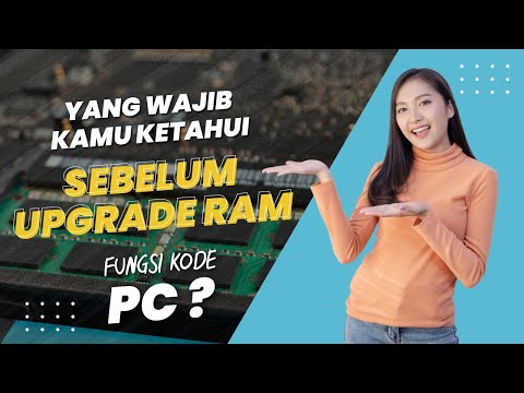 Yang wajib kamu