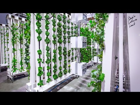 The Bright Agrotech ZipFarm™ - YouTube diagram of raised garden bed 